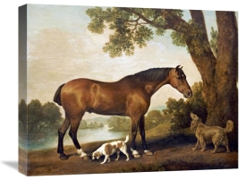 George Stubbs - A Bay Hunter, a Springer Spaniel and a Sussex Spaniel, 1782