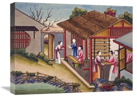 Chinese School - Silk Cocoons