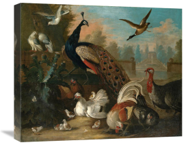 Marmaduke Cradock - A Peacock and Other Birds