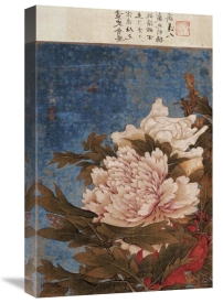 Shi Gang - Peonies