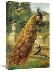 Olaf August Hermansen - Peacocks In The Park