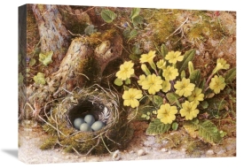 William B. Hough - Still Life With a Bird's Nest