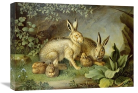 Johann Wenzel Peter - Hares and Leverets In a Rocky Lair