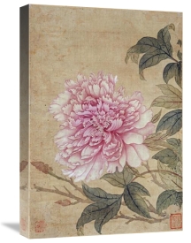 Yun Shouping - Peony