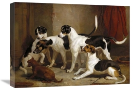 Thomas Woodward - The Puckeridge Foxhounds