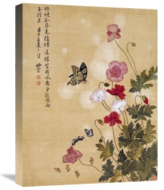 Ma Yuanyu - Corn Poppy and Butterflies