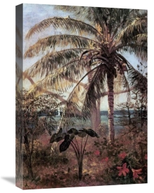Albert Bierstadt - Palm Tree, Nassau