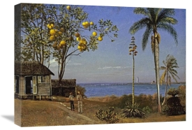 Albert Bierstadt - Tropical Scene