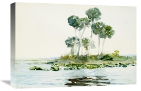 Winslow Homer - St. Johns River, Florida