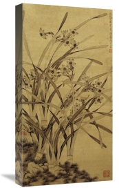 Ma Shouzhen - Narcissus