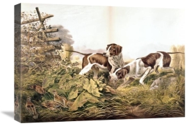 Currier and Ives - American Field Sports. 