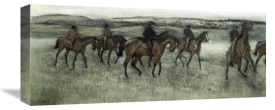 Edgar Degas - Race Horses