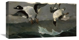 Winslow Homer - Right & Left