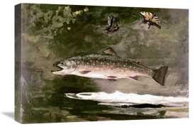 Winslow Homer - Trout
