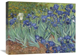 Vincent Van Gogh - Irises, 1889