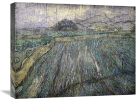 Vincent Van Gogh - The Storm