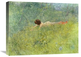Carl Larsson - On The Grass