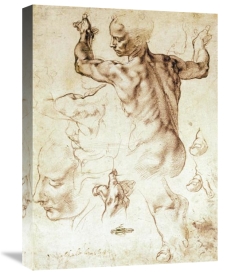 Michelangelo - Anatomy Sketches (Libyan Sibyl)