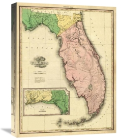 Henry S. Tanner - Florida, 1823