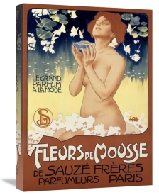 Leopoldo Metlicovitz - Fleurs de Mousse