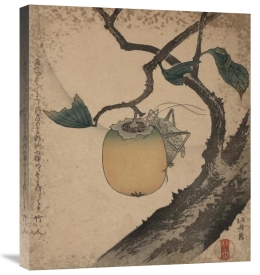 Hokusai - Grasshopper eating persimmon, 1850