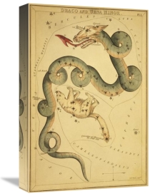 Jehoshaphat Aspin - Draco and Ursa Minor, 1825