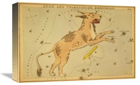 Jehoshaphat Aspin - Lynx and Telescopium Herschilii, 1825