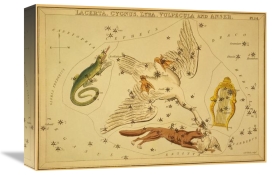 Jehoshaphat Aspin - Lacerta, Cygnus, Lyra, Vulpecula and Anser, 1825