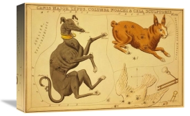 Jehoshaphat Aspin - Canis Major, Lepus, Columba Noachi & Cela Sculptoris, 1825
