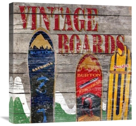 Karen J. Williams - Vintage Snow Boards