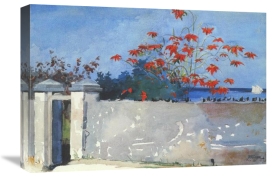 Winslow Homer - A Wall Nassau