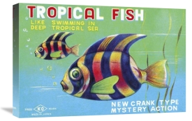 Retrobot - Tropical Fish