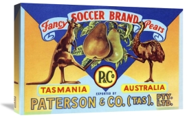 Unknown - Fancy Soccer Brand Pears