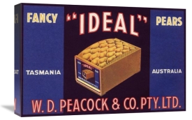 Unknown - Ideal Fancy Pears