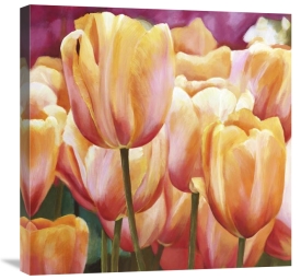 Luca Villa - Spring Tulips I
