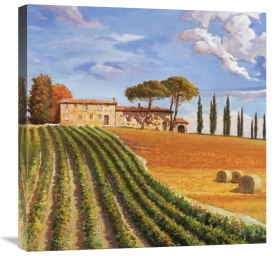 Adriano Galasso - Colline Toscane