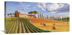 Adriano Galasso - Colline toscane