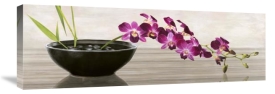 Shin Mills - Orchid Arrangement