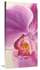 Cynthia Ann - Purple Orchids I
