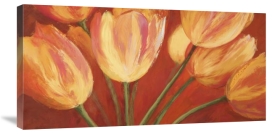 Silvia Mei - Orange Tulips