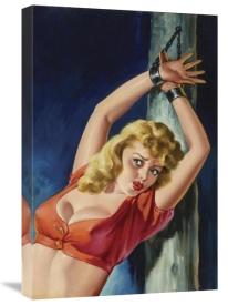 Peter Driben - Pulp Cover - The Captive