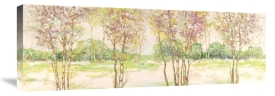 Lucas - Bosco di Betulle II