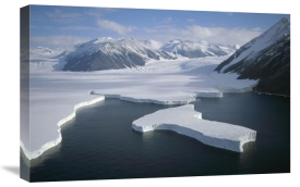 Tui De Roy - Dugdale and Murray Glaciers descending into Robertson Bay, Victoria Land, Antarctica