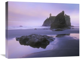 Tim Fitzharris - Ruby Beach with seastacks and boulders, Olympic National Park, Washington