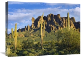 Tim Fitzharris - Saguaro cacti and Superstition Mountains at Lost Dutchman State Park, Arizona