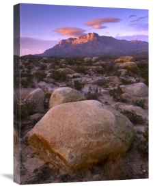 Tim Fitzharris - Boulder field and El Capitan, Guadalupe Mountains National Park, Texas