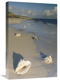 Gerry Ellis - Reef Harbor Beach, Turks and Caicos Islands, Caribbean