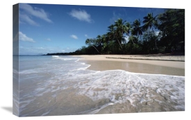 Gerry Ellis - Grand Anse Des Salines, Martinique, West Indies
