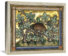 Franco-Flemish 13th Century - A Hedgehog (detail)