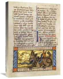 Franco-Flemish 13th Century - A Crocodile and a Hydrus